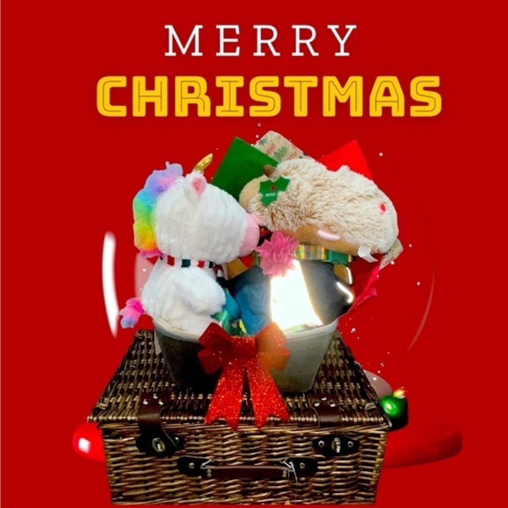 Pet Toys Bin Storage, Dog Lovers Gift, Merry Christmas, $100 dollar value